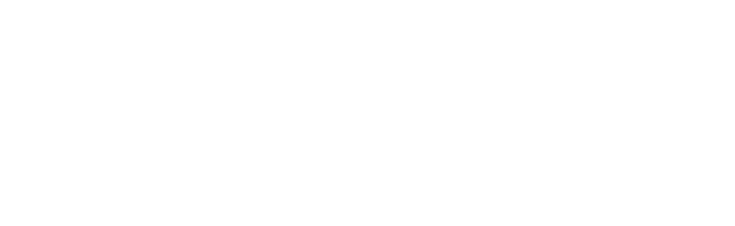 Georgica Auto Holdings